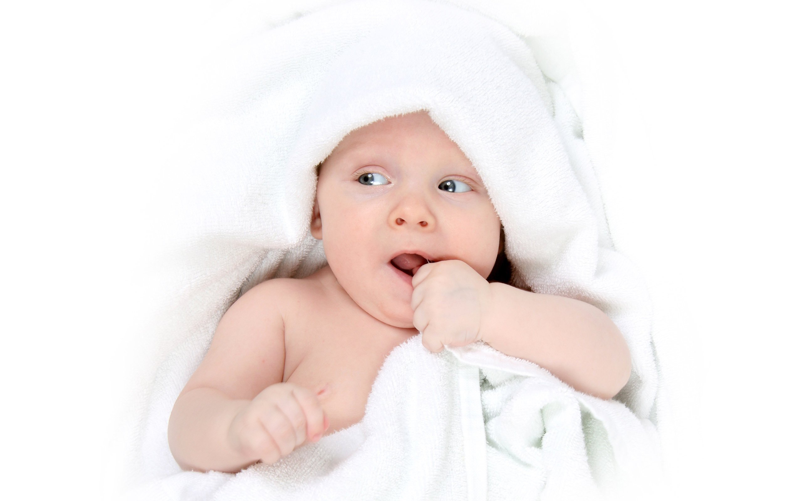 合肥捐卵网试管婴儿那里成功率高